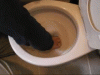 crapodile-a.gif