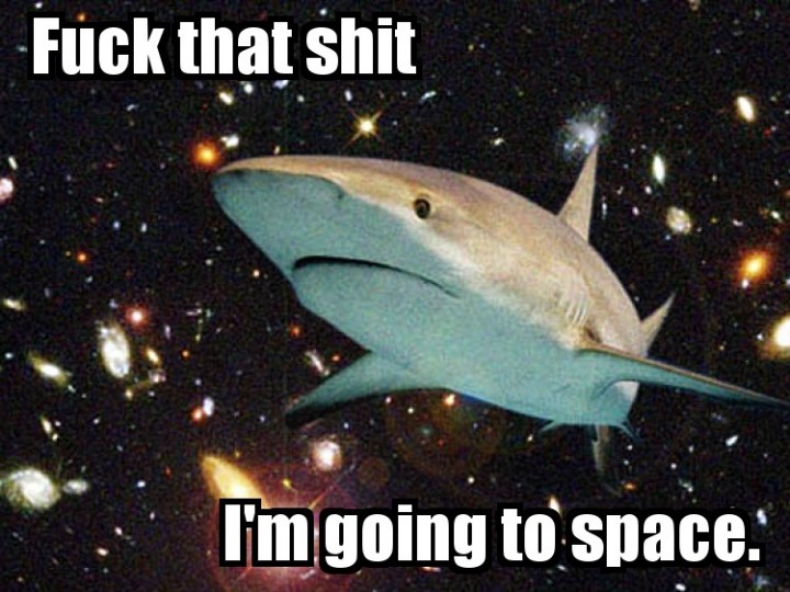 fuck that shit outer space shark image macro.jpeg