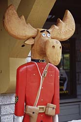 mountie.jpg