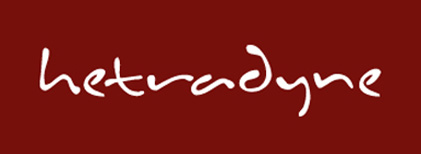 hetradyne logo design